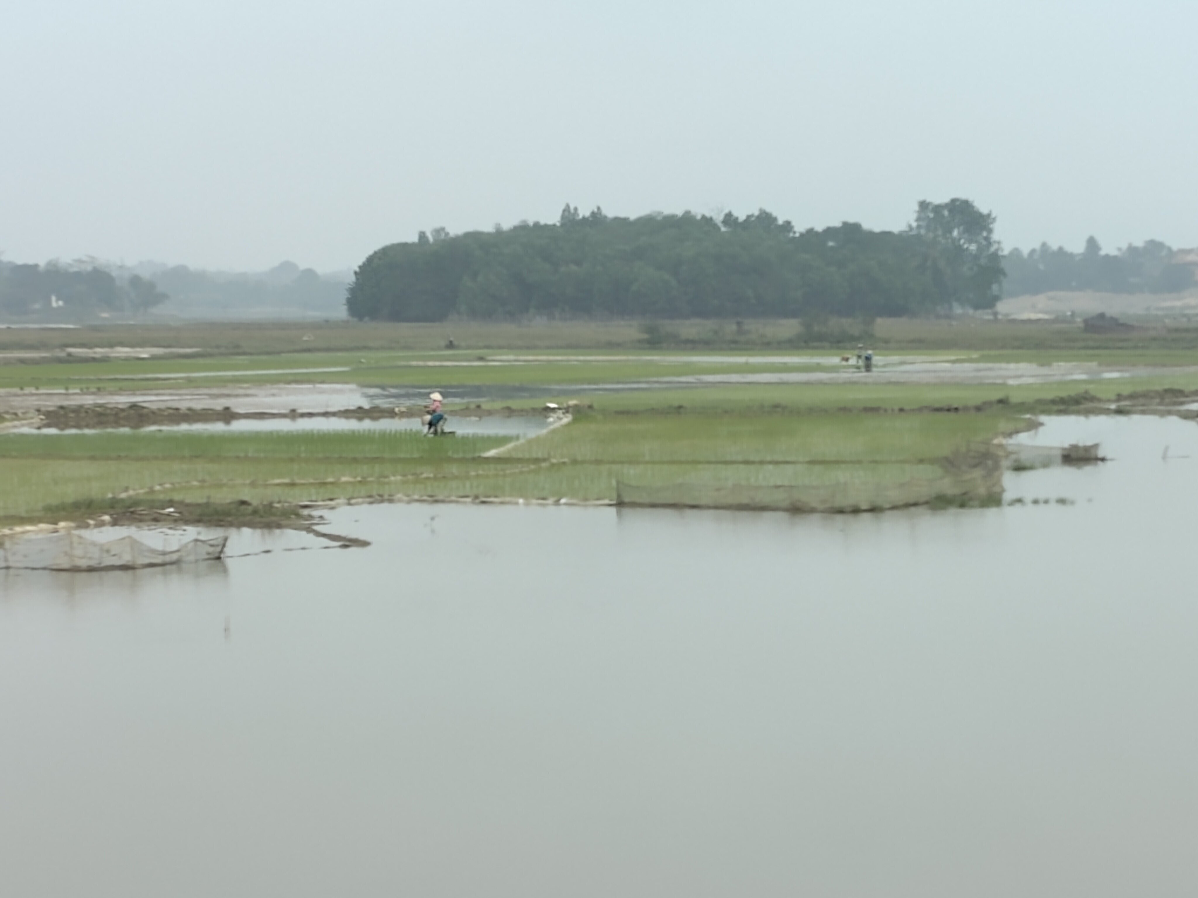 Van Long Family Homestay-官方