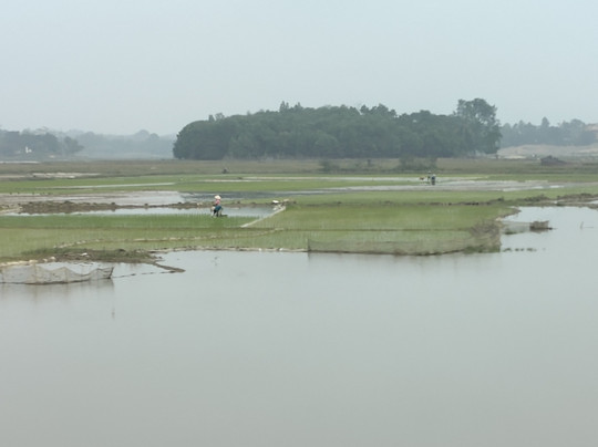 Van Long Family Homestay主图