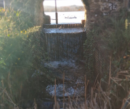 Frensham Little Pond-Frensham必去景点