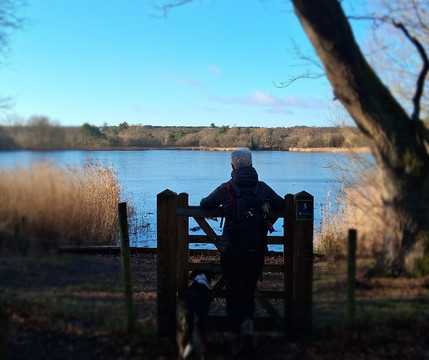 Frensham Little Pond-Frensham必去景点