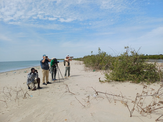 Gambian Bird Guide Ansuman Drammeh -  Best Boy Tours-塞瑞库达必去景点