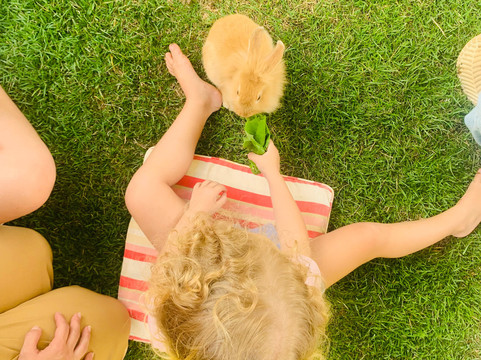 Valentim Iogurteria Artesanal-多明戈斯-马丁斯必去景点