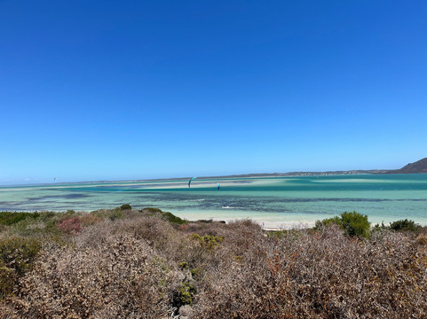 The Black Sheep Agency-开普敦中心区必去景点