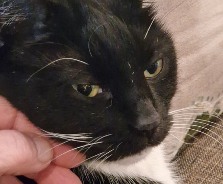 Das Hotel Ostseeblick主图