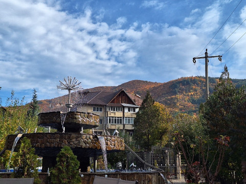 Pensiunea Roza主图