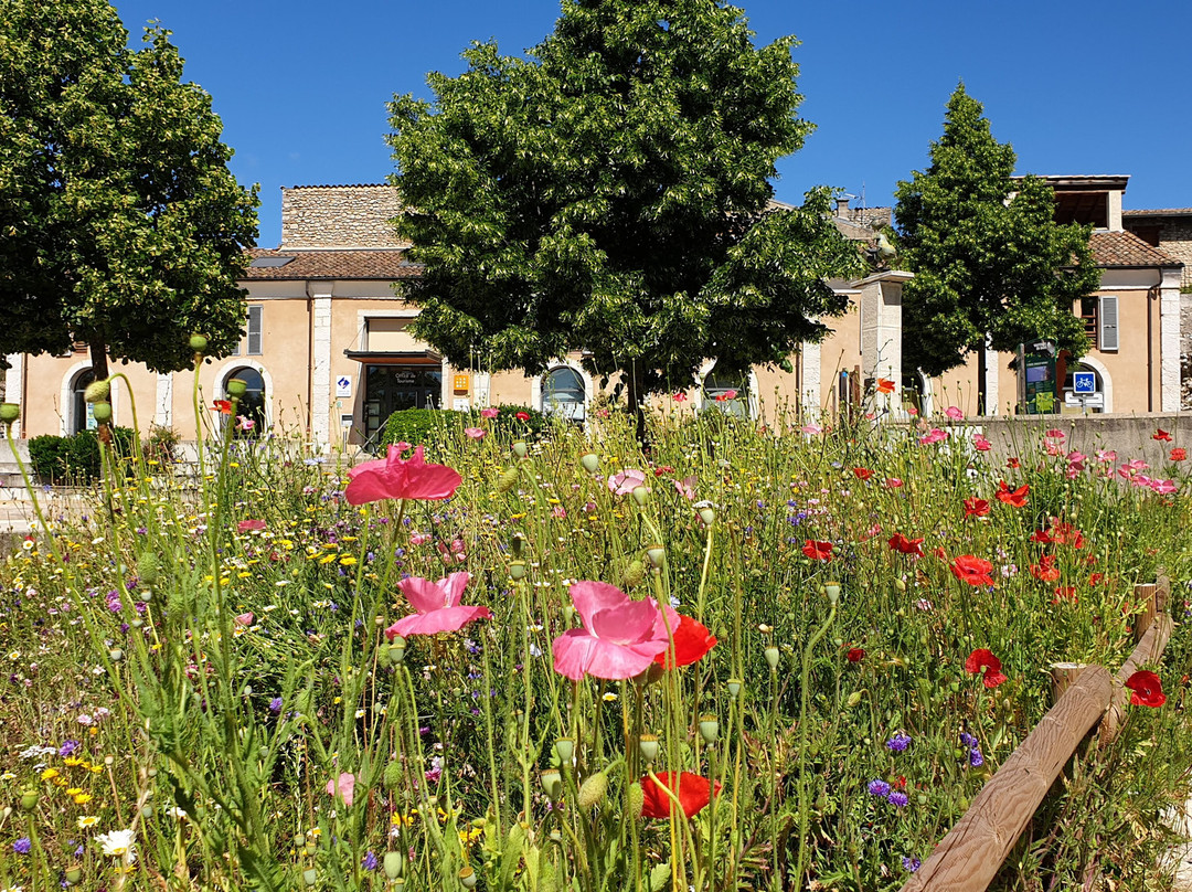 Office de Tourisme du Pays Diois-Die必去景点