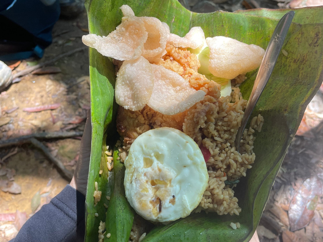 Trekking Orangutan Sumatra-武吉拉旺必去景点