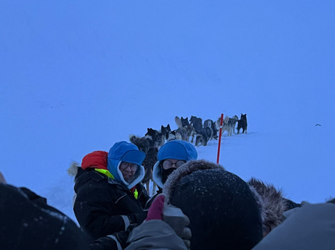 Green Dog Svalbard-朗伊尔城必去景点