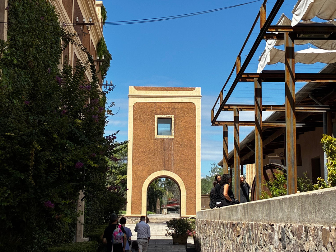 Bodega Los Toneles-门多萨必去景点