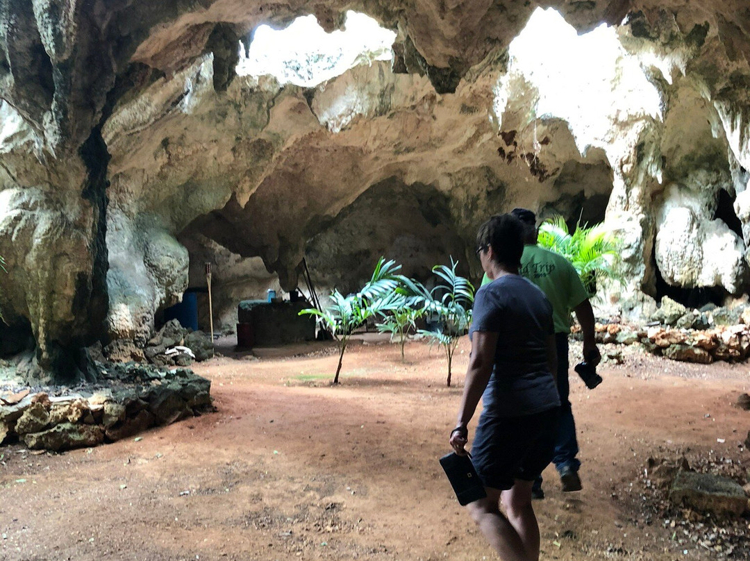 Hamilton's Cave Tours-长岛必去景点