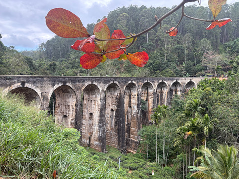 Good Holiday Tours-Kandy District必去景点