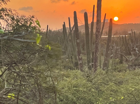 Rancho Loco-Santa Cruz必去景点