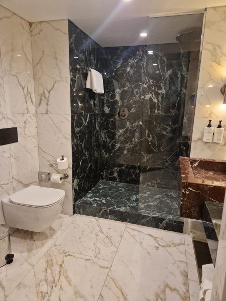 雅典娜神庙洲际酒店-浴室