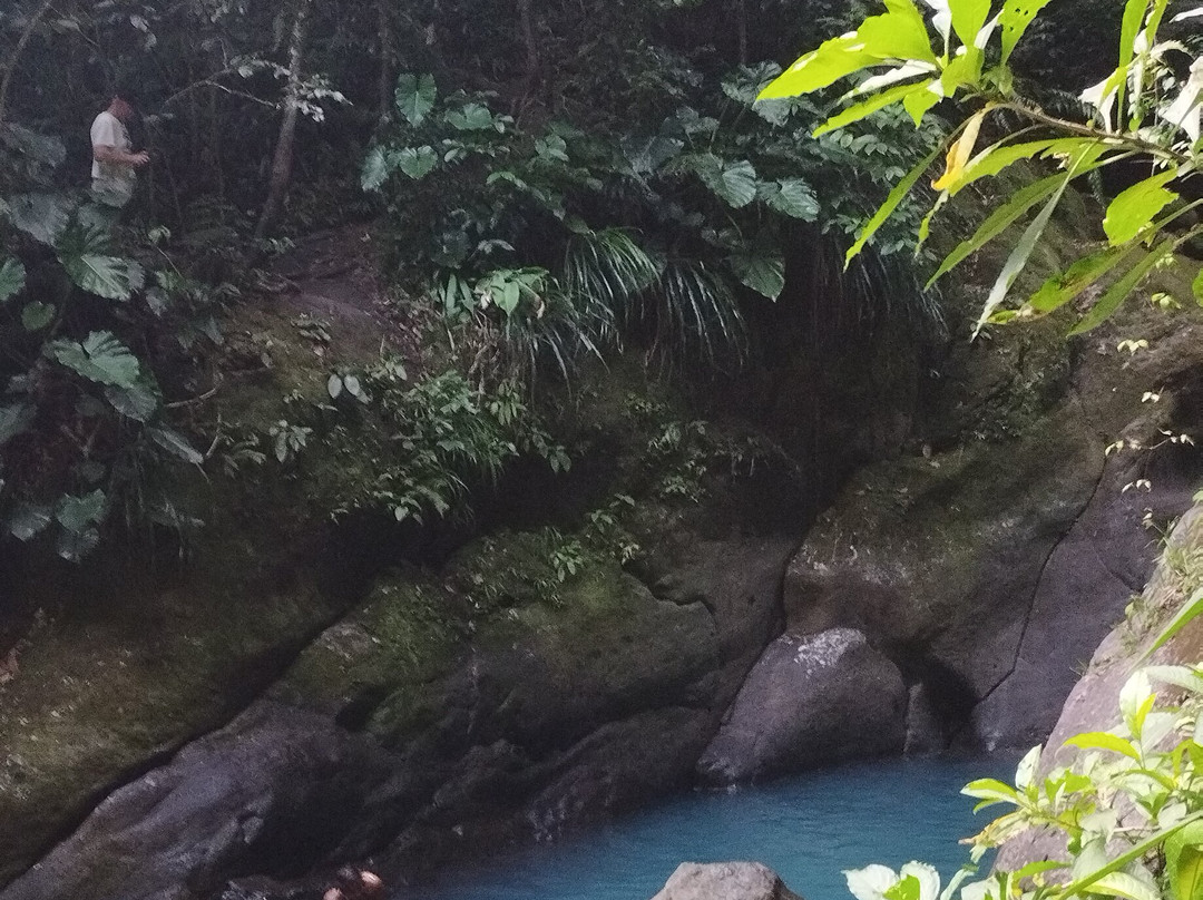 Cascades du Bassin Bleu-Gourbeyre必去景点