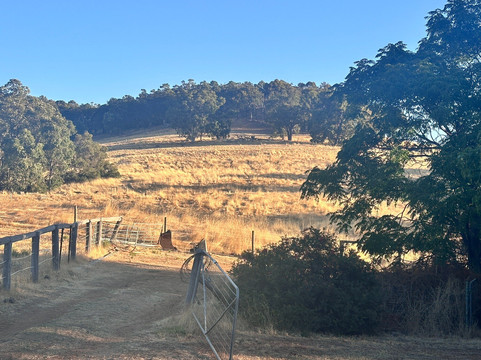 Henty Lodge Bed & Breakfast主图