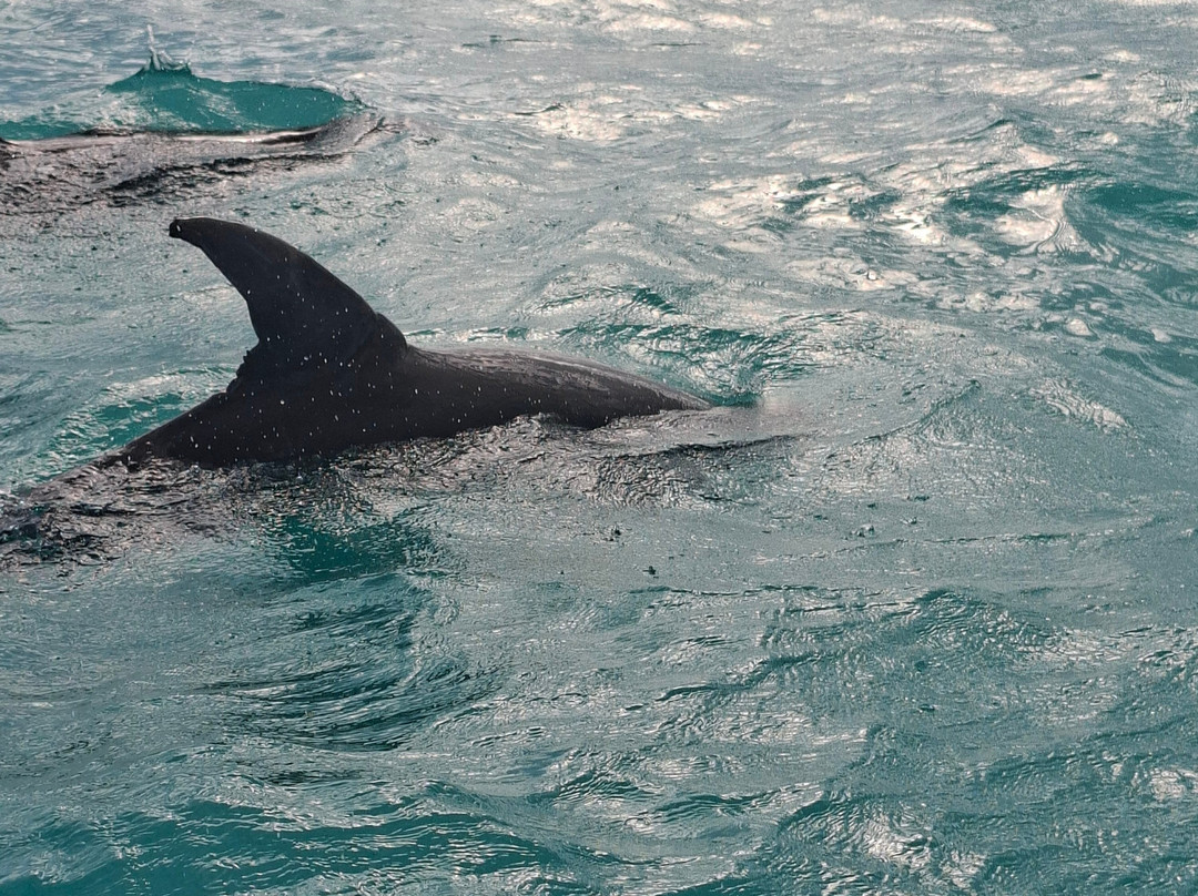 Pixan Ka'an-图伦必去景点