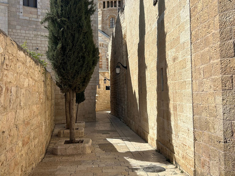 Daniel Rosenblum Tours-特拉维夫必去景点