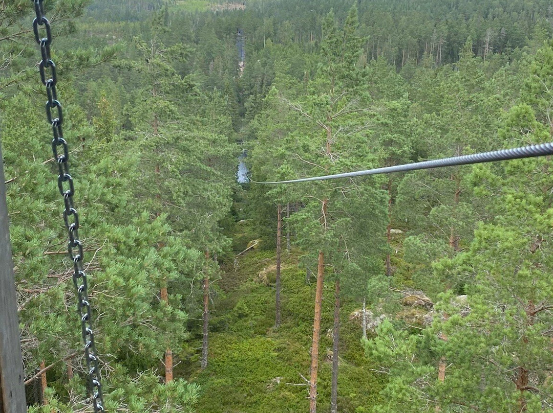 Sweden Zipline-Klavrestrom必去景点