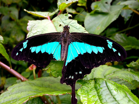 Usambara  Adventures-卢绍托必去景点