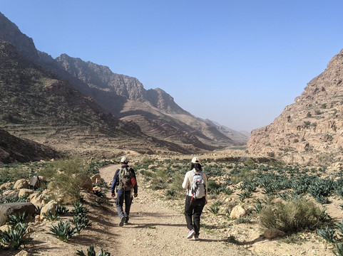 Jordan Trail Guide-佩特拉必去景点