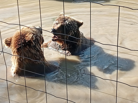 Parc Zoologique de Paris