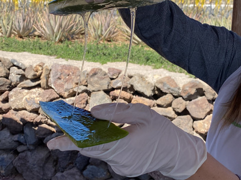 Finca Canarias Aloe Vera-Guimar必去景点