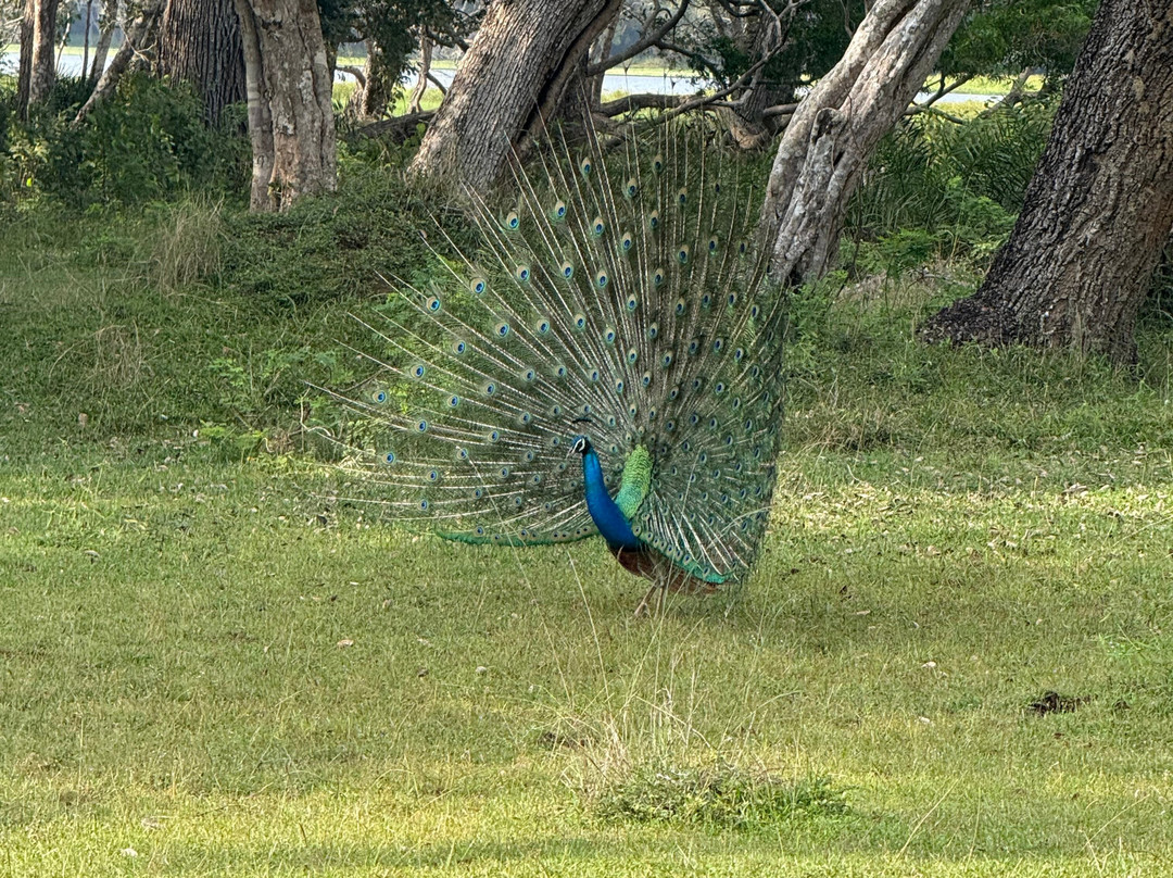 Miles In Paradise-哈巴拉杜瓦必去景点