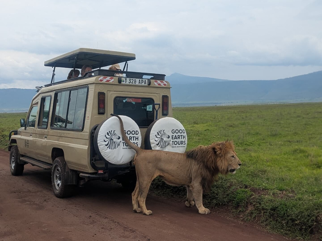 Good Earth Tours-阿鲁沙必去景点