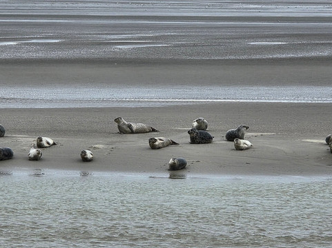 Club Nautique Berckois-Berck必去景点