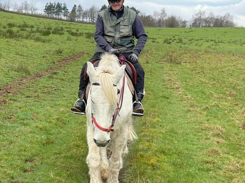 Killarney Riding Stables-基拉尼必去景点