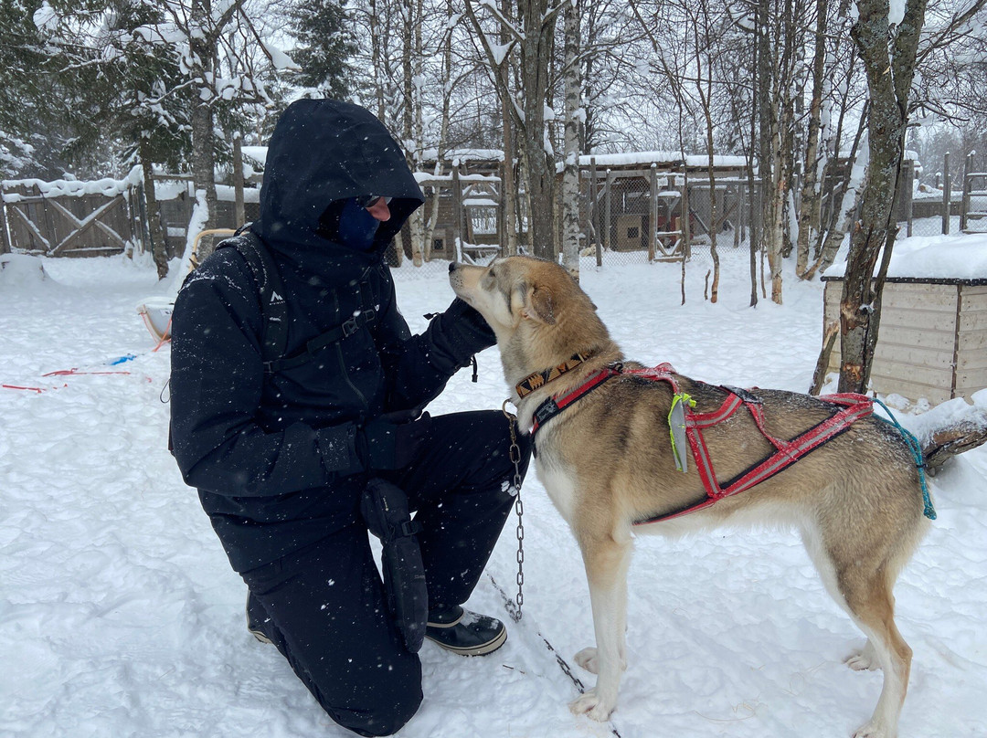 O'Nordic-Posio必去景点