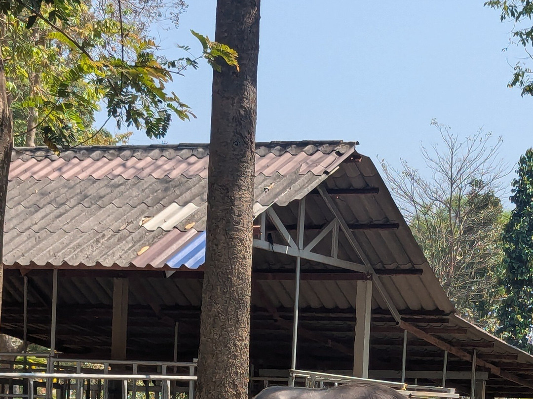 Tweechol Botanic Garden-雷沙革必去景点