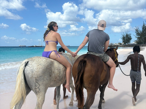 Sunflower Stables Barbados-Mangrove必去景点