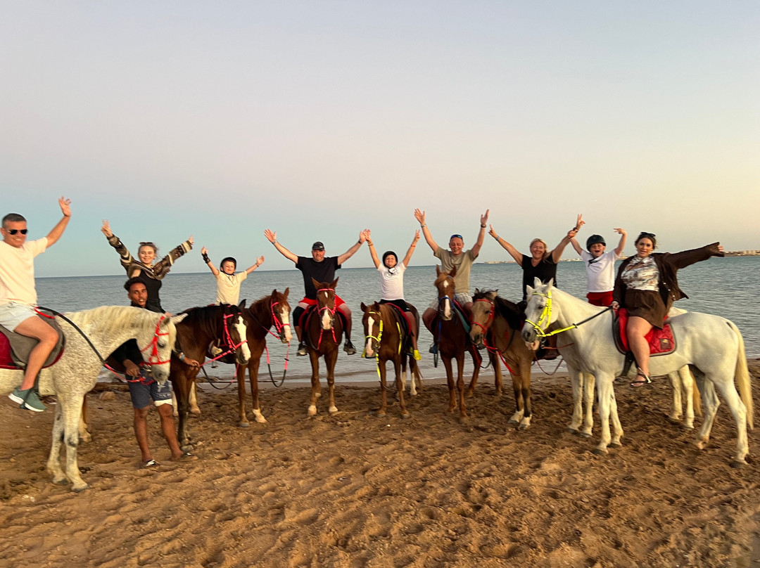 Mokly Tours-Hurghada 2必去景点