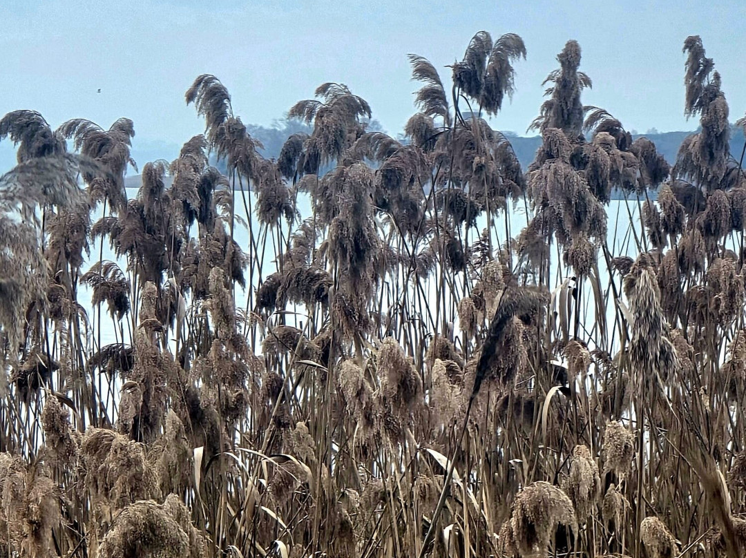 Lungolago-San Feliciano必去景点