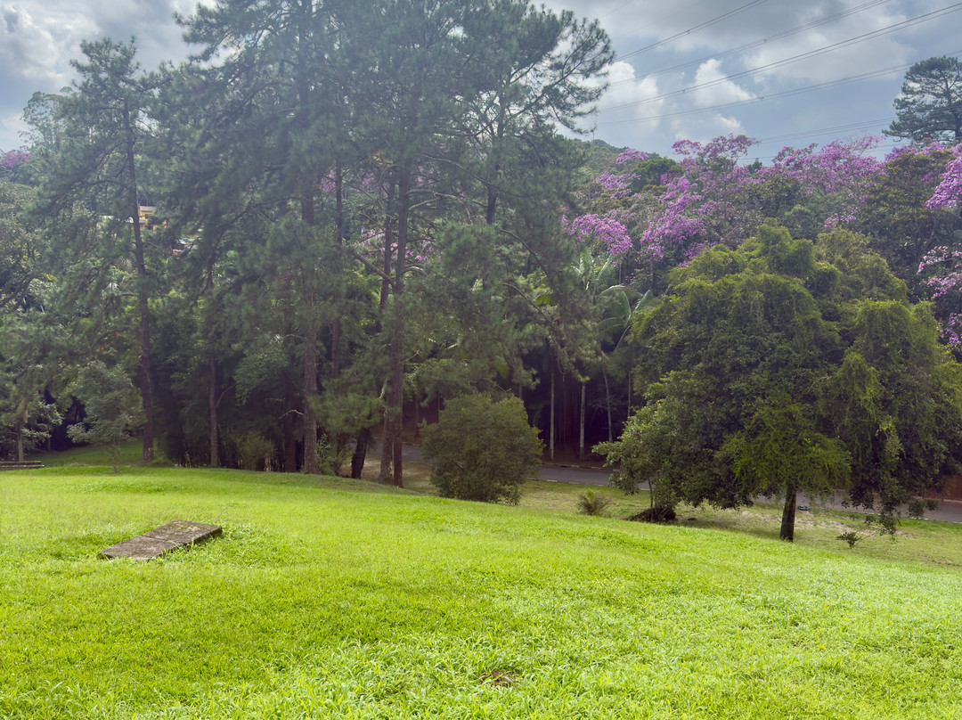 Milicia da Imaculada-圣贝尔纳多-杜坎普必去景点