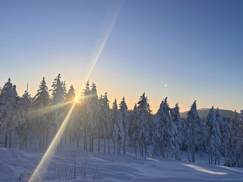 北极大酒店主图