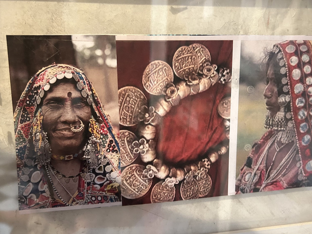 The Singariya Coin Museum & Institute Of Numismatic Study Research-焦特布尔必去景点