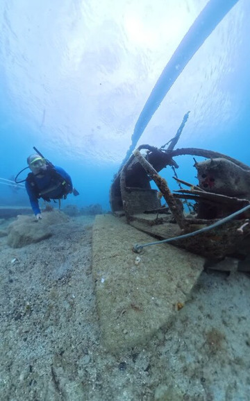 Dive Adventures-辛普森湾必去景点