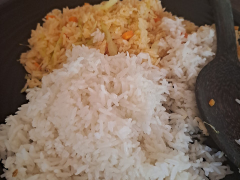 Kulen Elephant Forest-暹粒必去景点