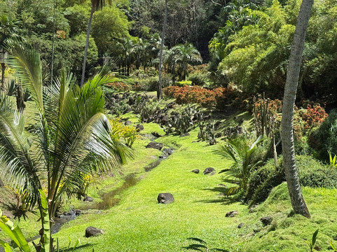 Zoo de Martinique-Le Carbet必去景点