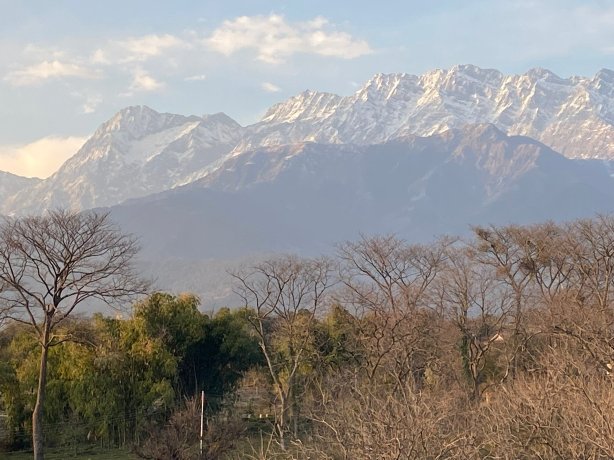 The Lodge at Wah, Palampur-官方