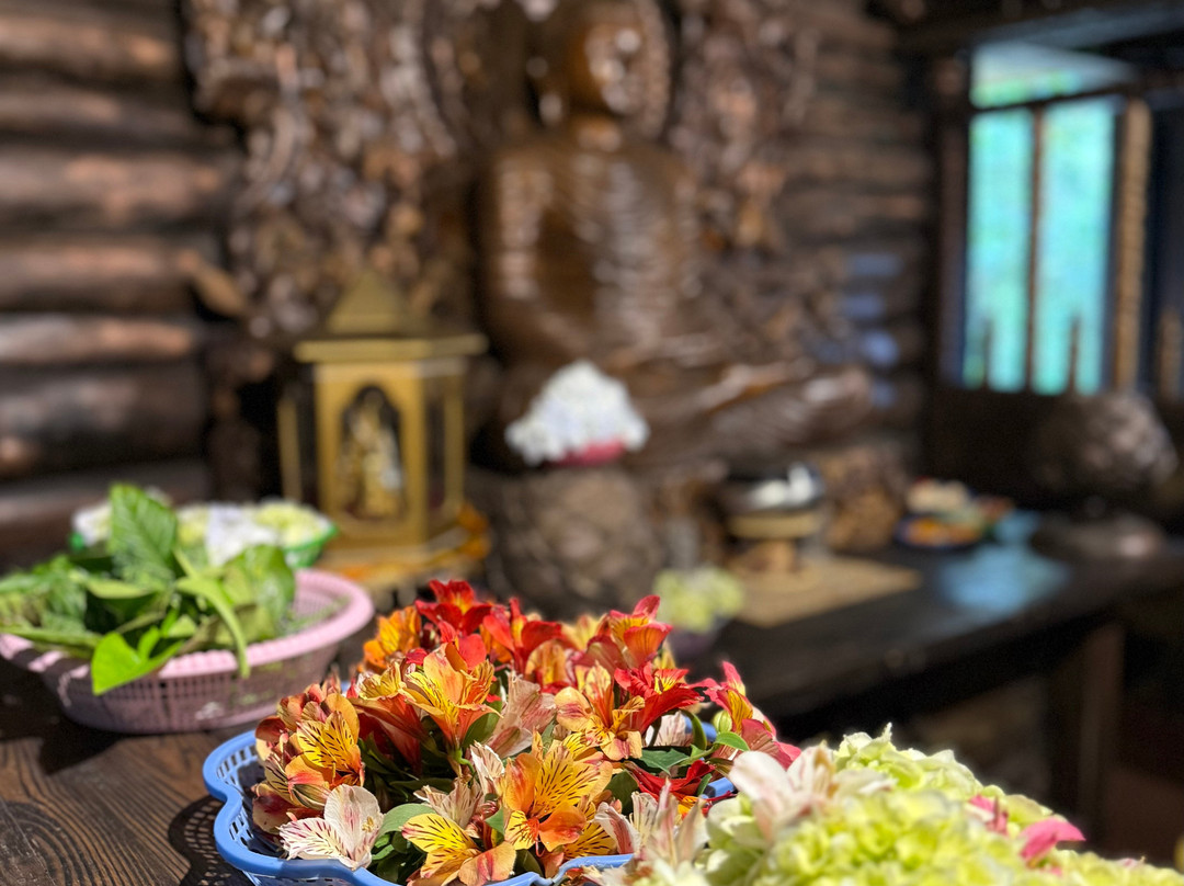 Wicky Tours Sri Lanka-尼甘布必去景点