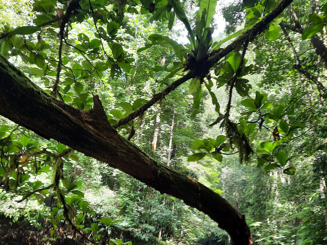 Wolter Gaman-Waisai必去景点