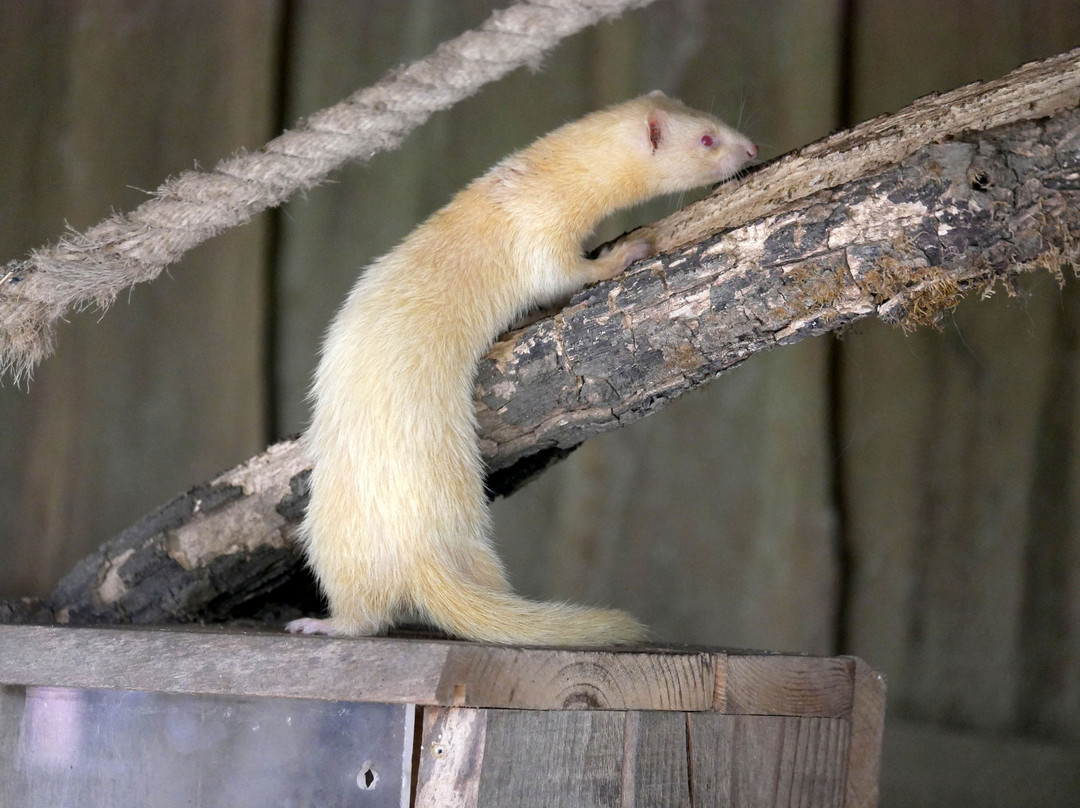 Natural'Parc-Ombrée d'Anjou必去景点