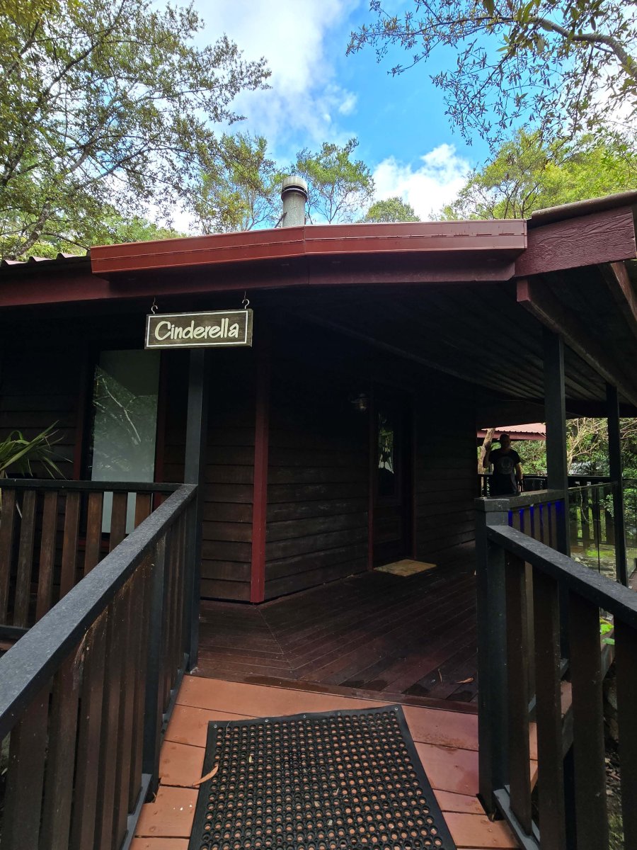 茅斯热带雨林度假村-官方