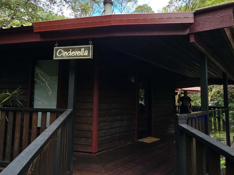 茅斯热带雨林度假村主图