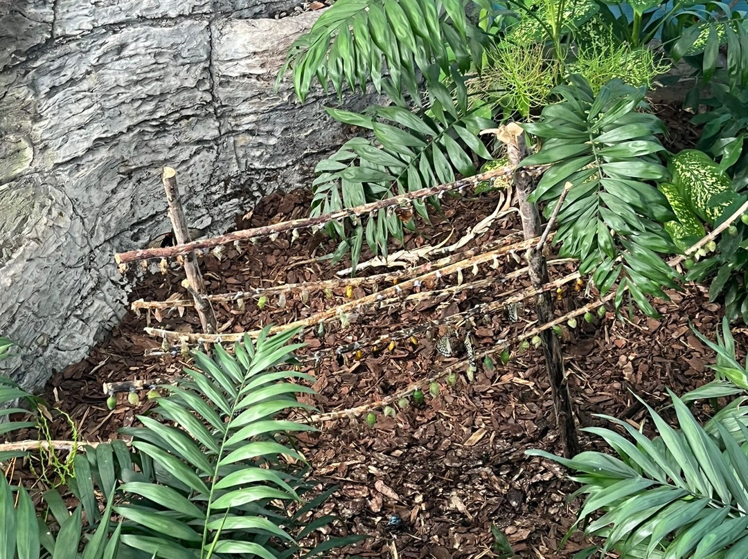 Regional Natural History Museum of Plovdiv-普罗夫迪夫必去景点