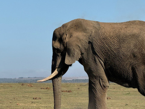 Yengwa Tours & Adventures-克尼斯纳必去景点