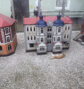 Square "Kotofeinya"-泽列诺格拉茨克必去景点